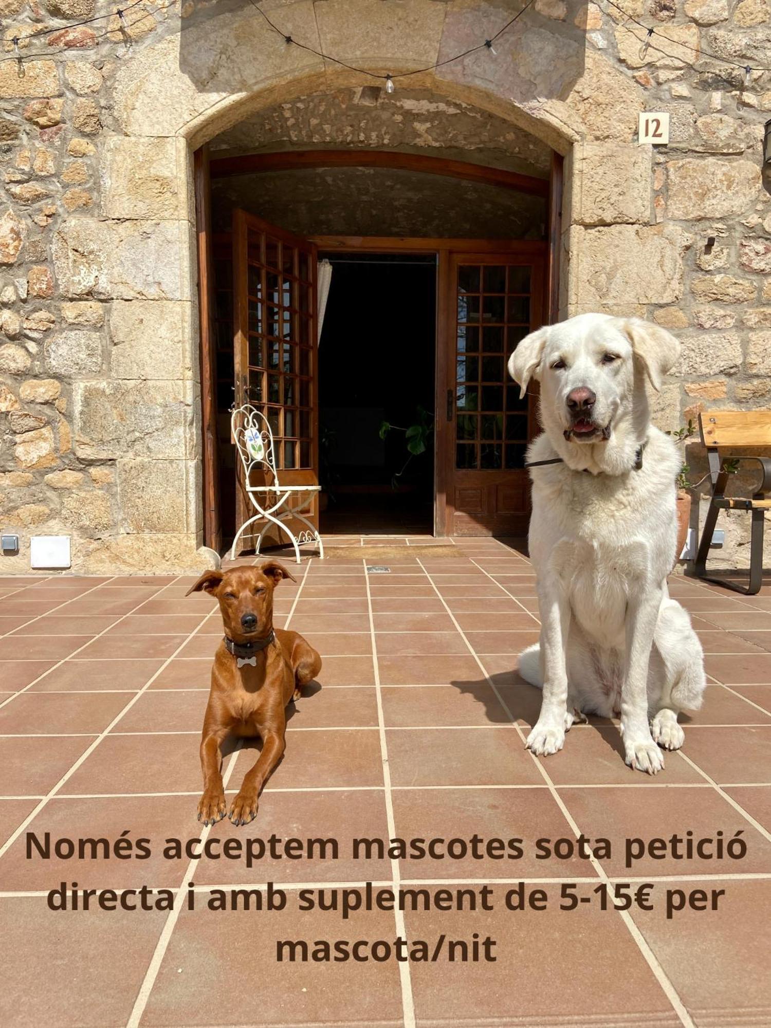 Ecoturisme Mas Ribas Hotel Паламос Екстериор снимка